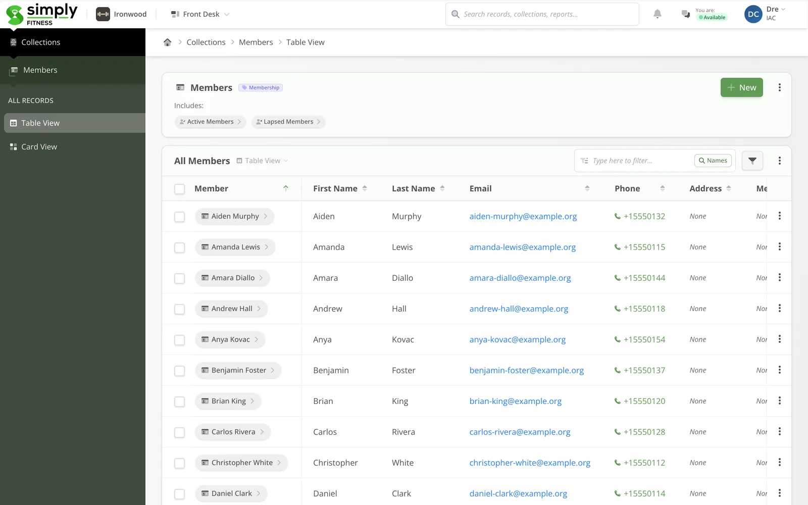 The member roster in Simply Fitness — levels, status, and payments in a live table.